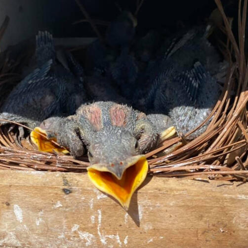 Say &#39;Cheese&#39;!